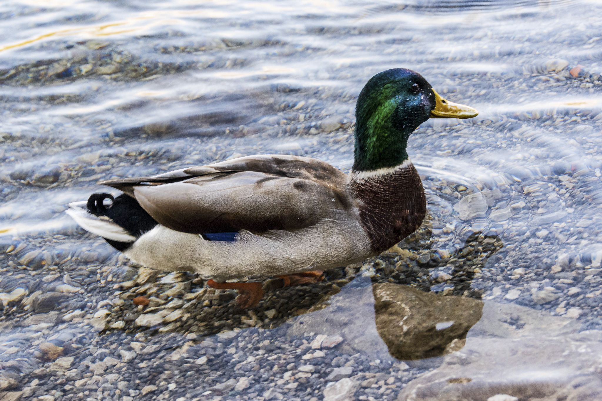 Kajaktour Eibsee 09.10.2021